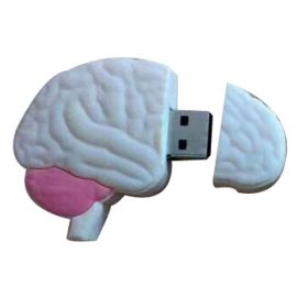 Creative Human Organs U Disk Internal Organs Brain Lip Print (size: 5.style-8GB)